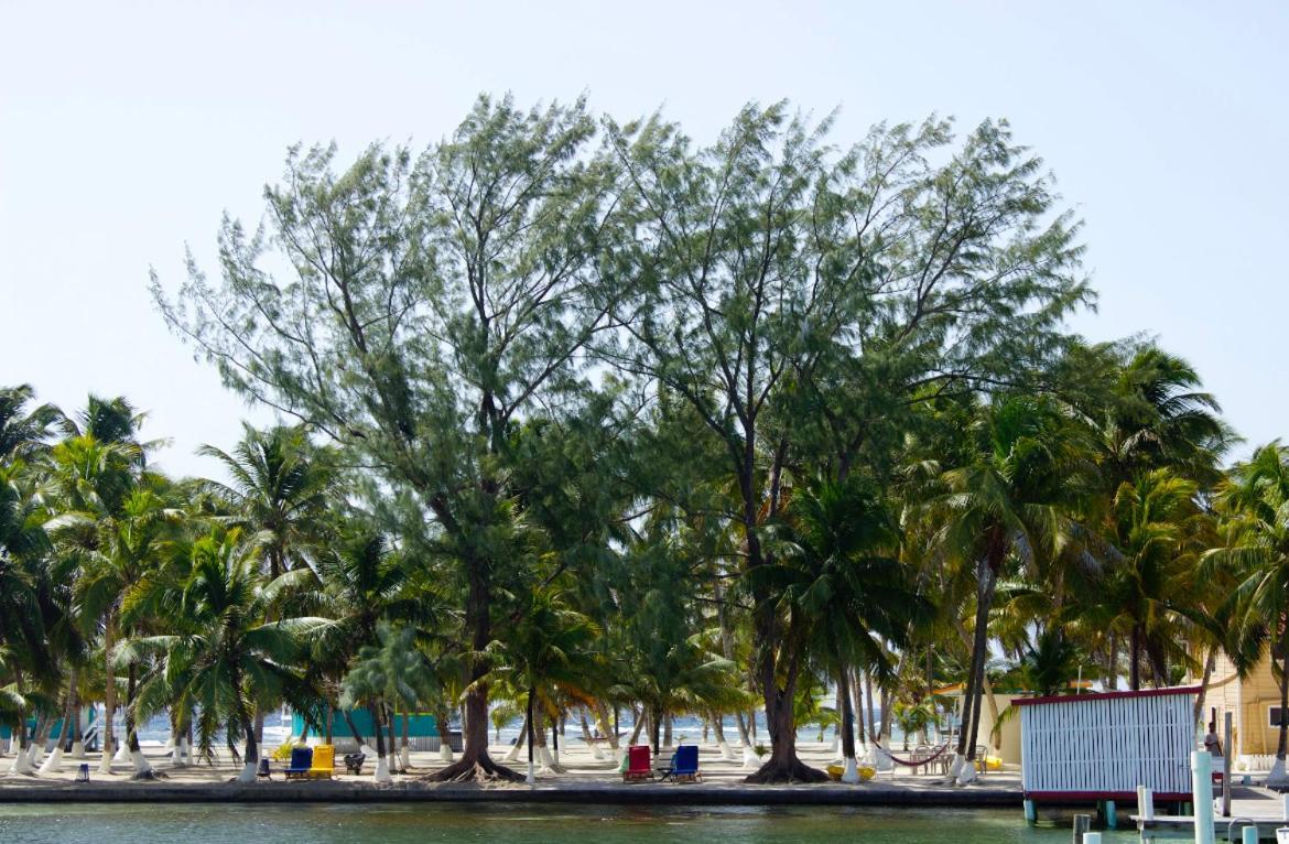 Blue Marlin Beach Resort Dangriga Bagian luar foto