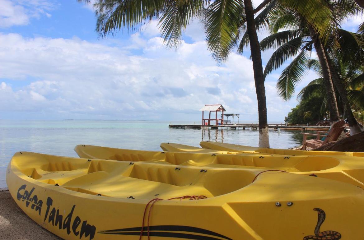 Blue Marlin Beach Resort Dangriga Bagian luar foto