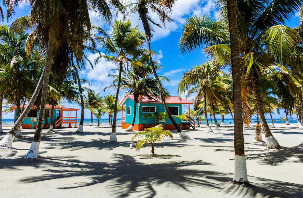 Blue Marlin Beach Resort Dangriga Bagian luar foto