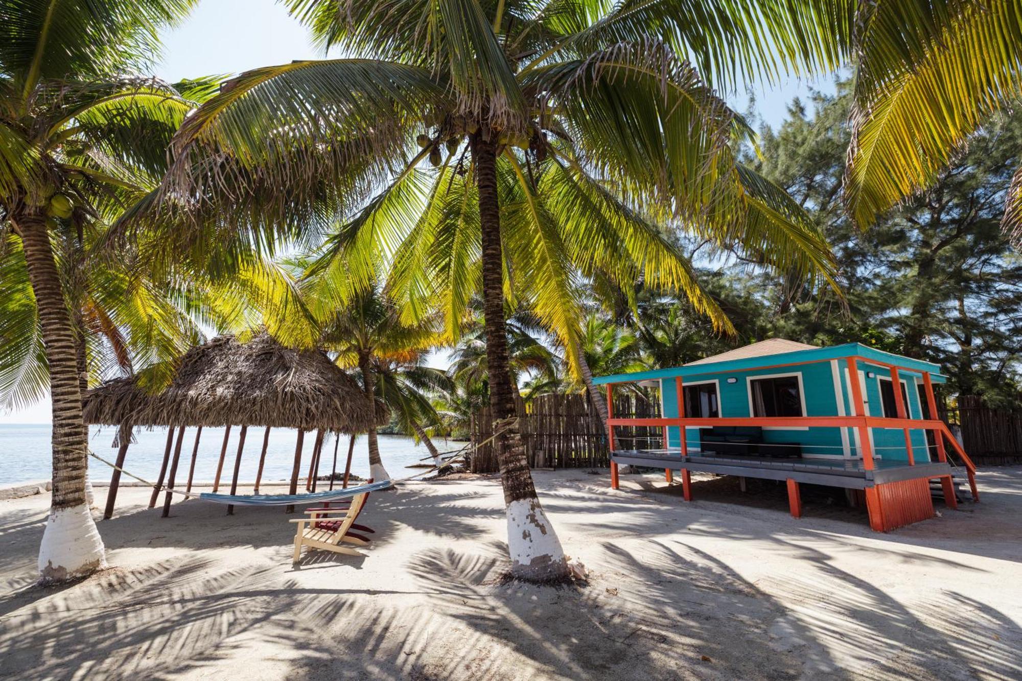 Blue Marlin Beach Resort Dangriga Bagian luar foto