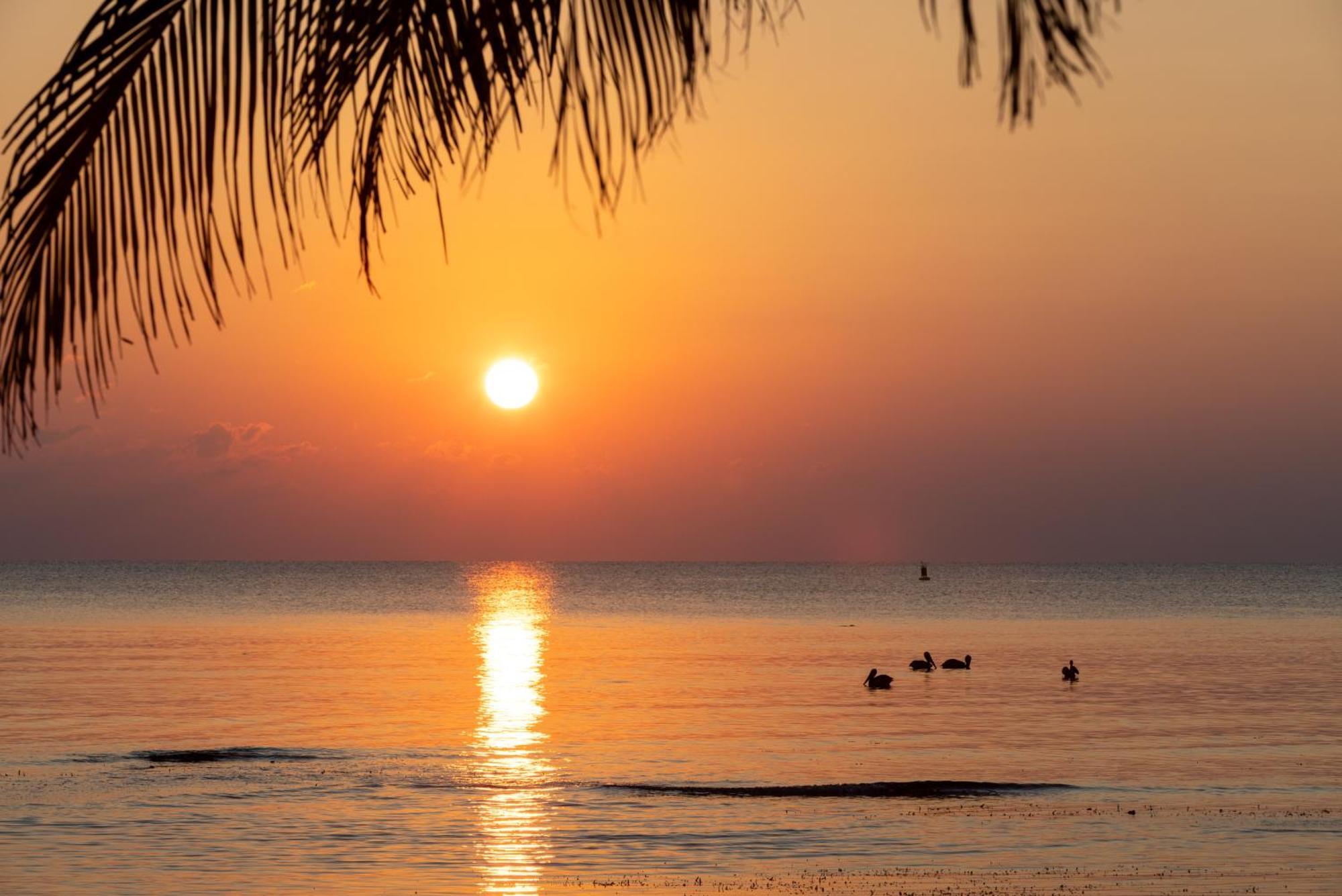 Blue Marlin Beach Resort Dangriga Bagian luar foto