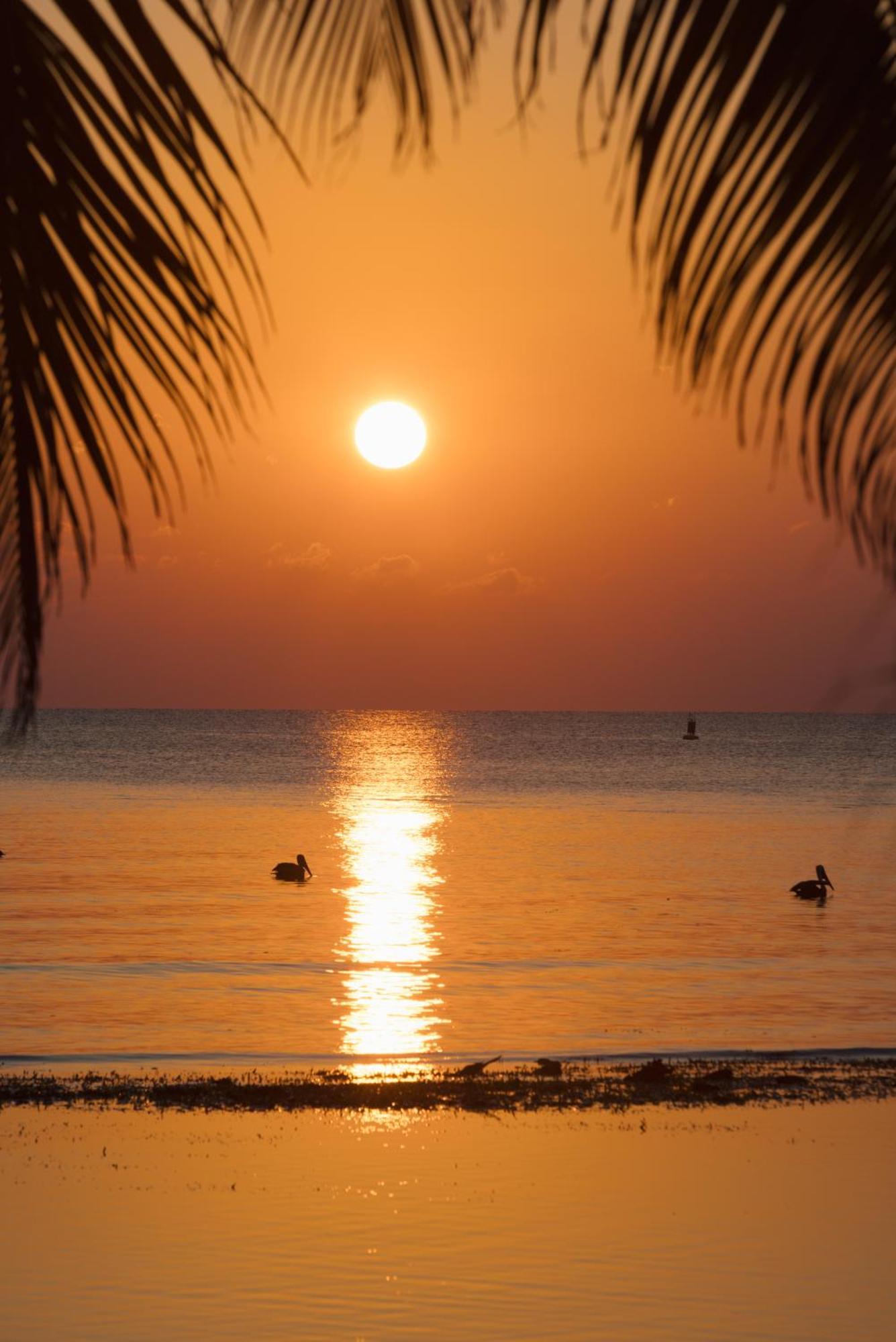 Blue Marlin Beach Resort Dangriga Bagian luar foto