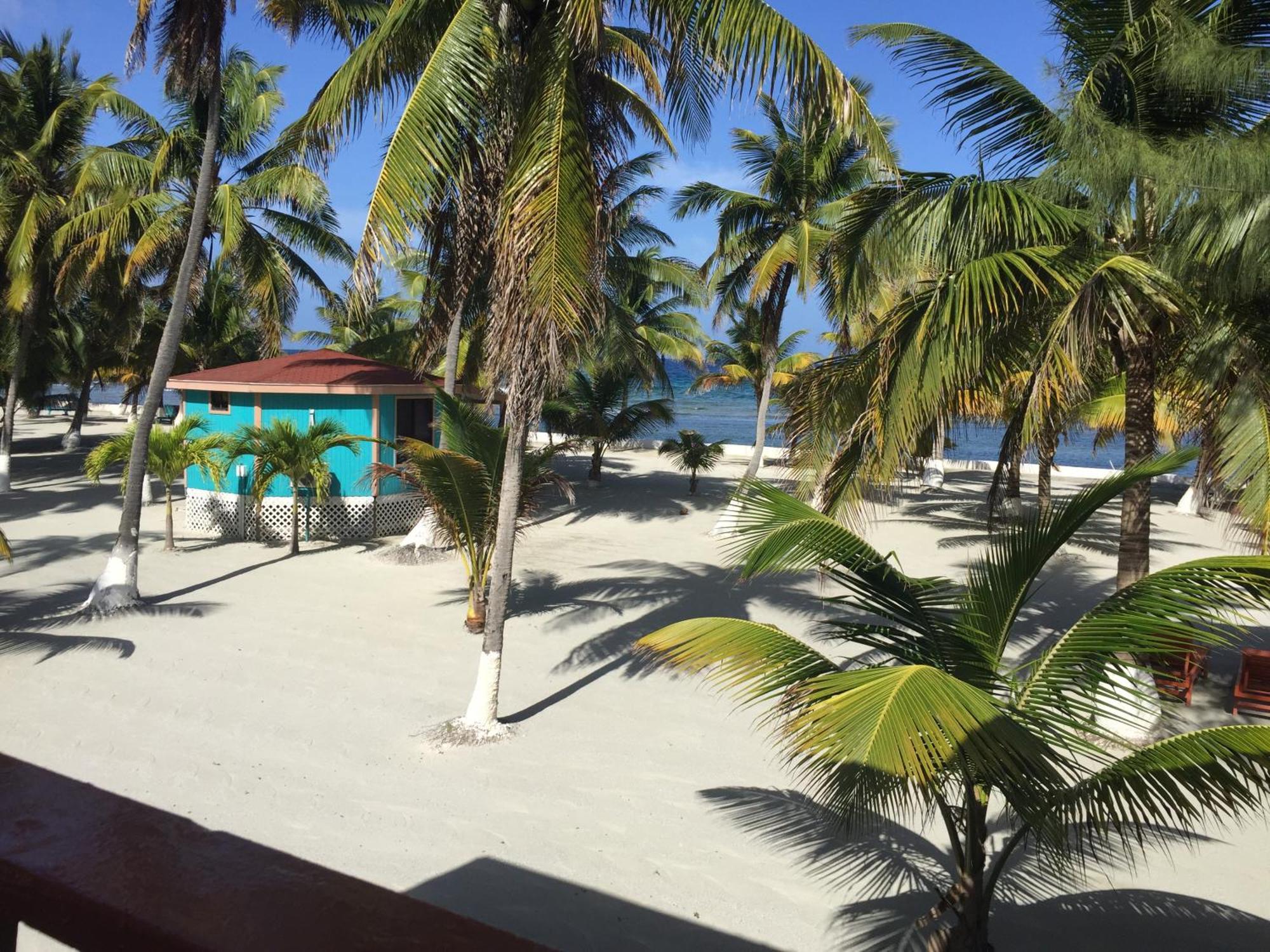 Blue Marlin Beach Resort Dangriga Bagian luar foto