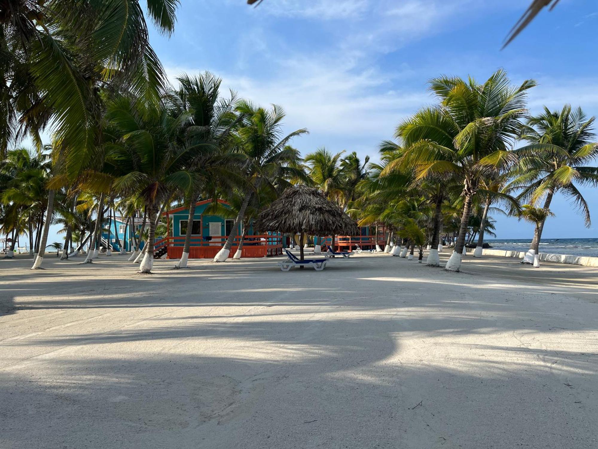 Blue Marlin Beach Resort Dangriga Bagian luar foto
