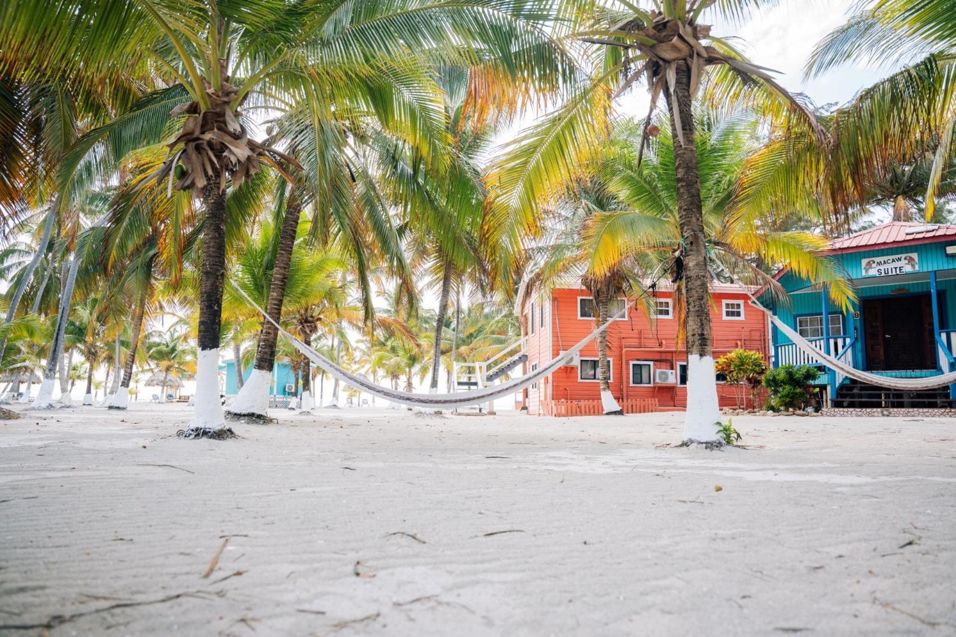 Blue Marlin Beach Resort Dangriga Bagian luar foto