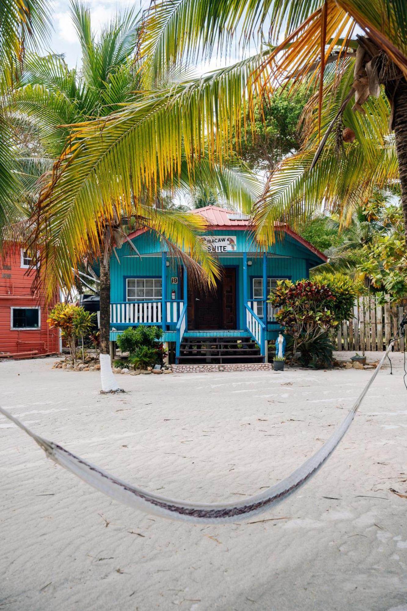 Blue Marlin Beach Resort Dangriga Bagian luar foto