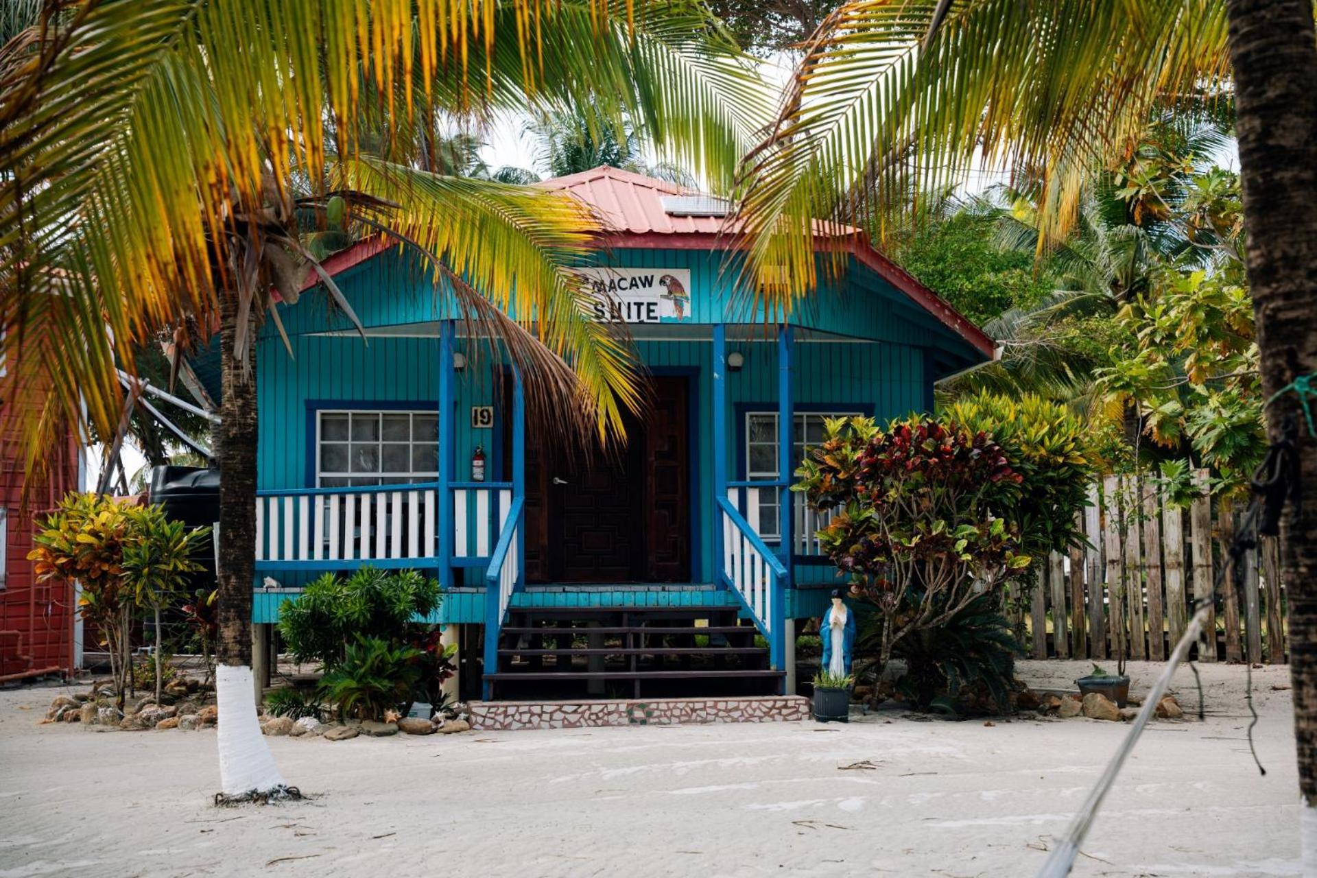 Blue Marlin Beach Resort Dangriga Bagian luar foto